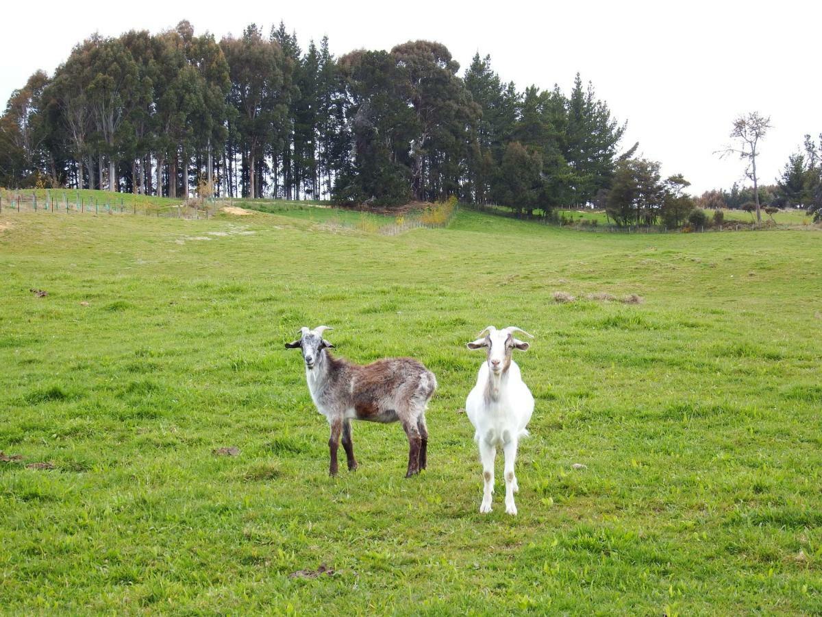 Mahana Farm Cottage Bagian luar foto